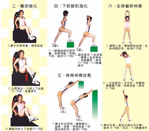 職業駕駛健身操